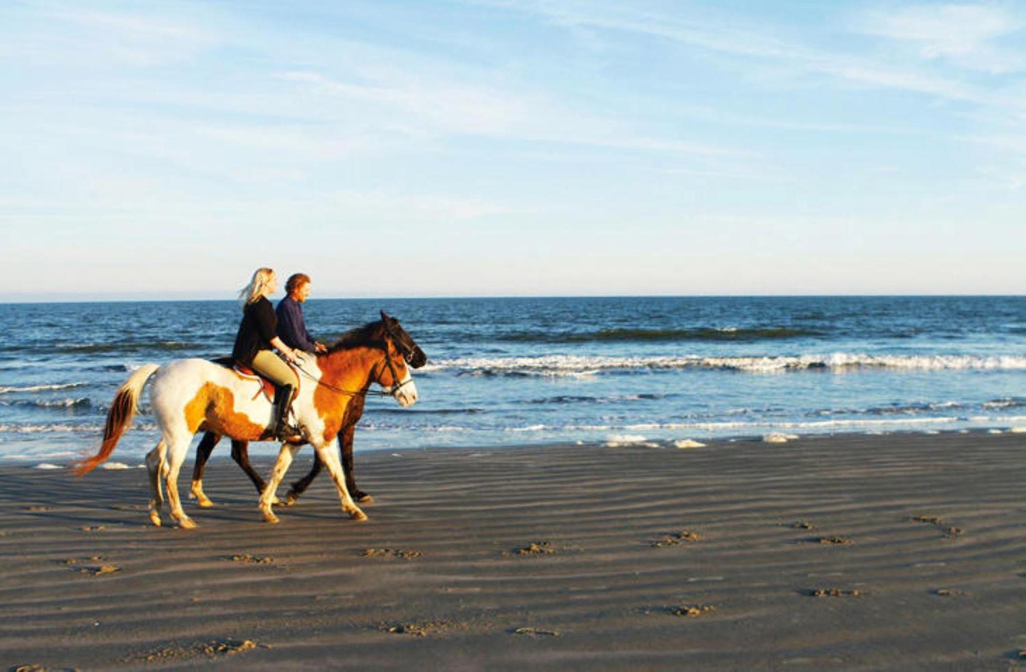 1313 Pelican Watch - Seabrook Island - Beachfront 5 Star Condo - Fido Friendly Exterior foto